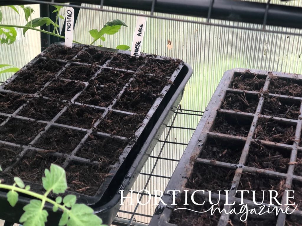 a potting trays with planted seeds and labels that read &lsquo;onion&rsquo; and &lsquo;chinese kale&rsquo;