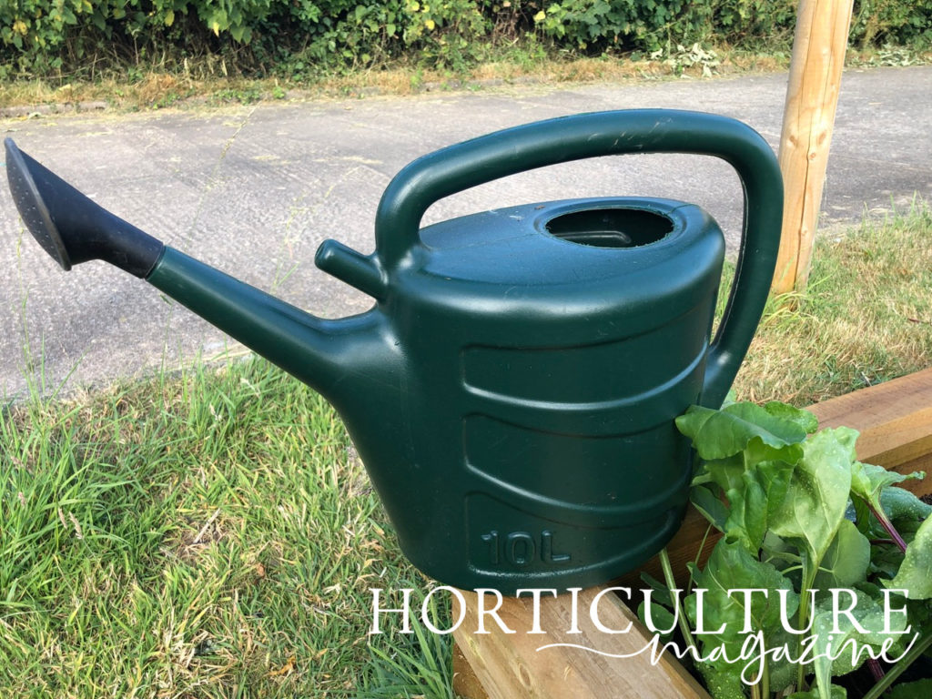 a green watering can resting on the side of a garden bed which contains some leaves in front of a road that is bordered by shrubs and grass