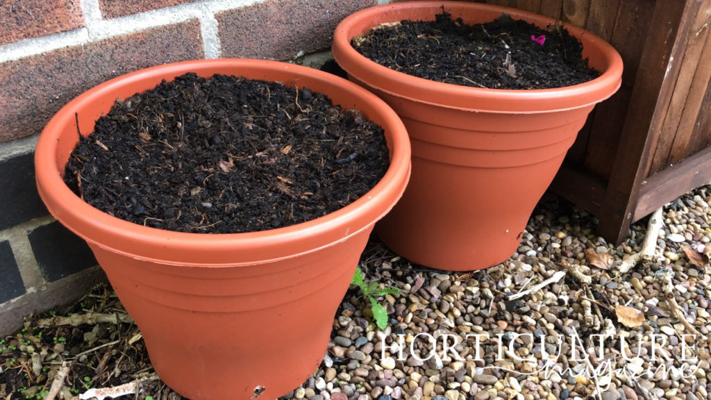 finished containers placed in the corner of a garden against a wall
