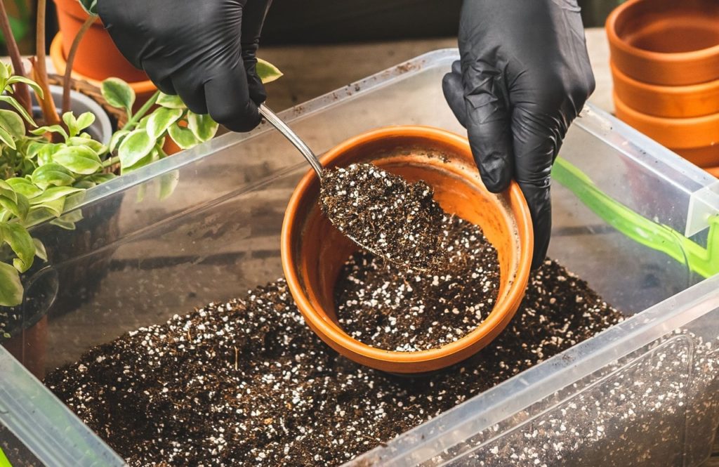 someone using a spoon to fill a terracotta pot with compost from a plastic container on a wooden work surface
