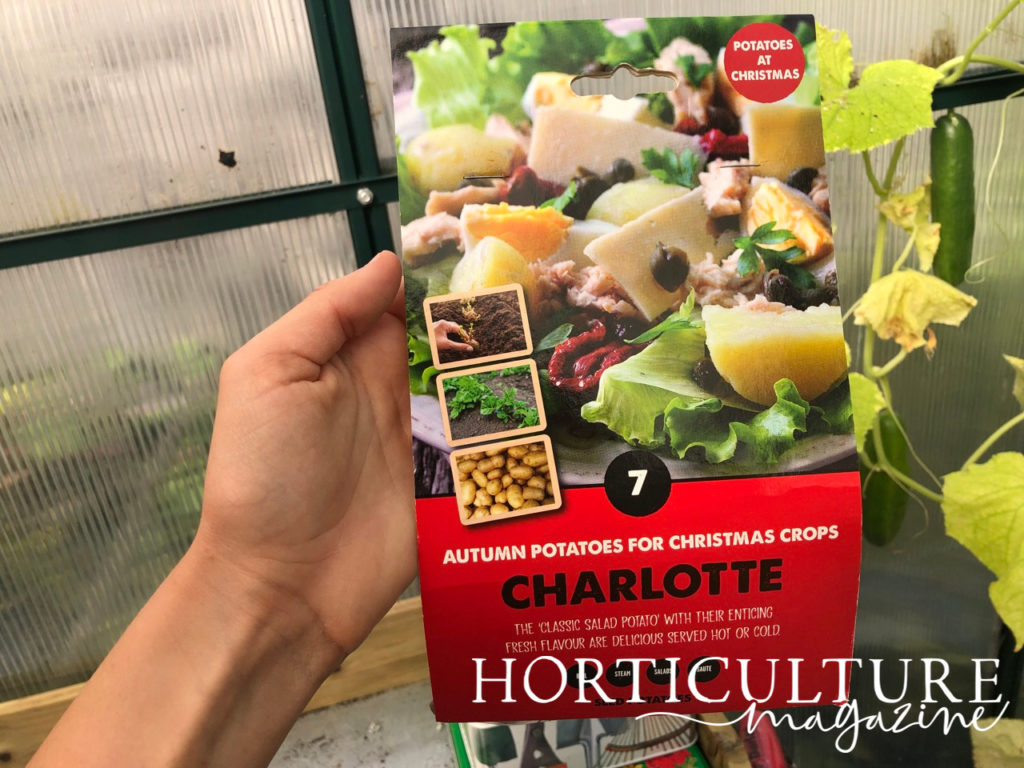 gardener holding a tuber packet labelled ‘Charlotte potatoes’ inside a greenhouse