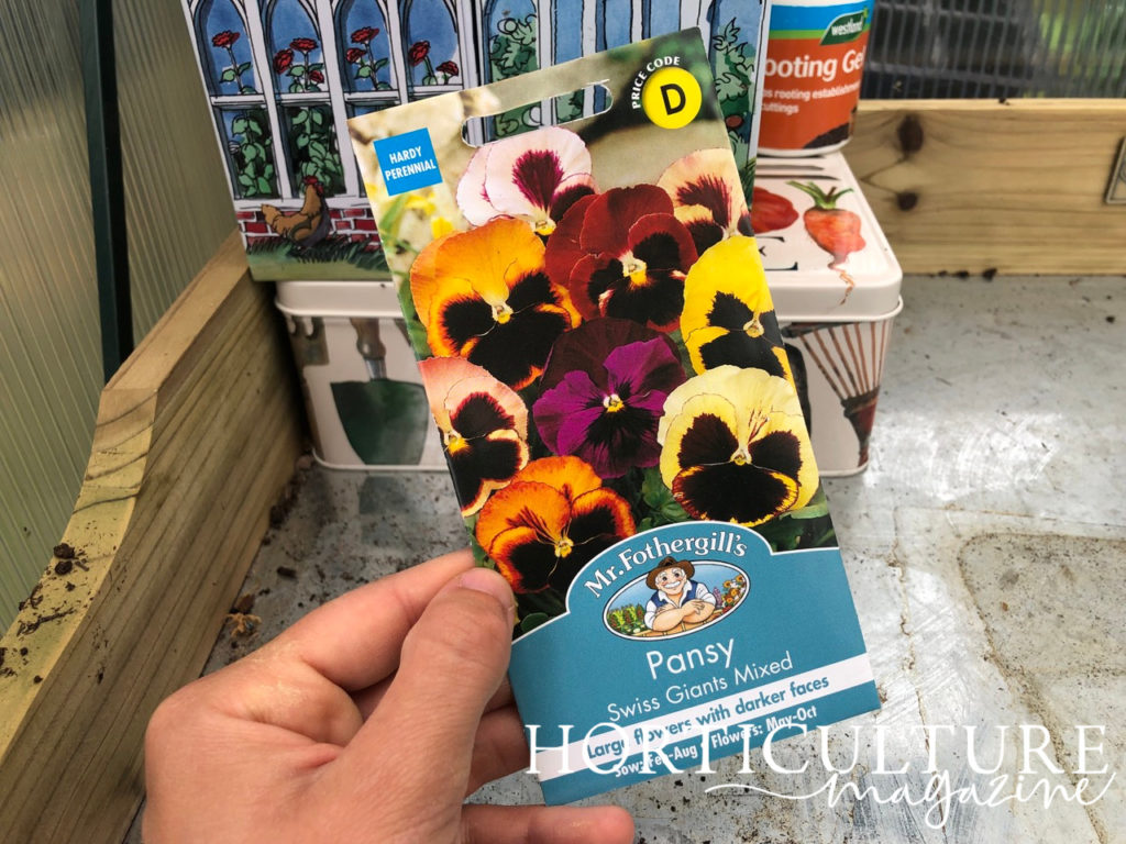 pansy seed packet being held up in front of a metal worktop inside a greenhouse