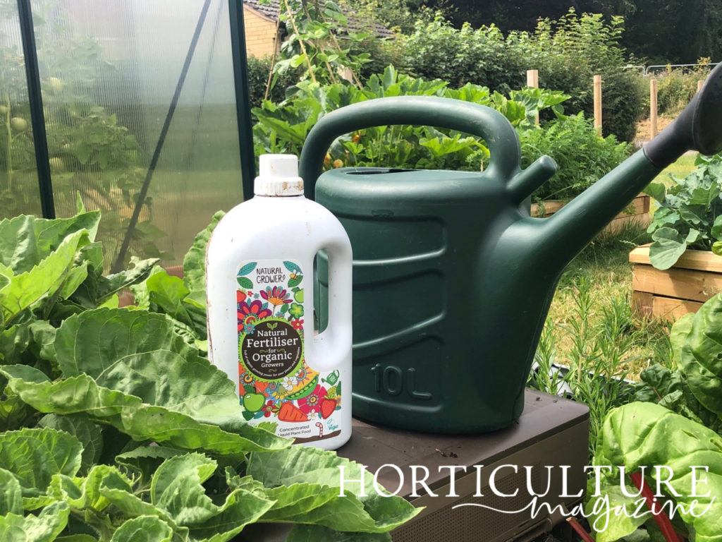 organic rhubarb feed in a bottle next to a watering can outside in front of a raised bed vegetable garden