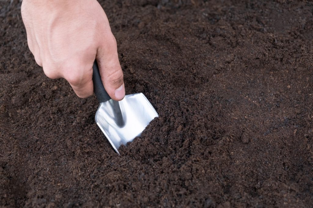gardener using a hand trowel to dig a hole in the soil