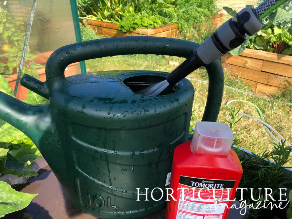 a watering can being filled up with water from a hosepipe with a bottle of fertiliser next to it