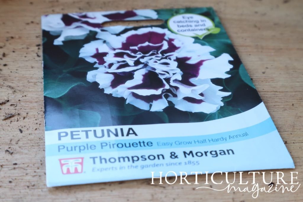 a packet of Petunia ‘Purple Pirouette’ seeds from Thompson & Morgan