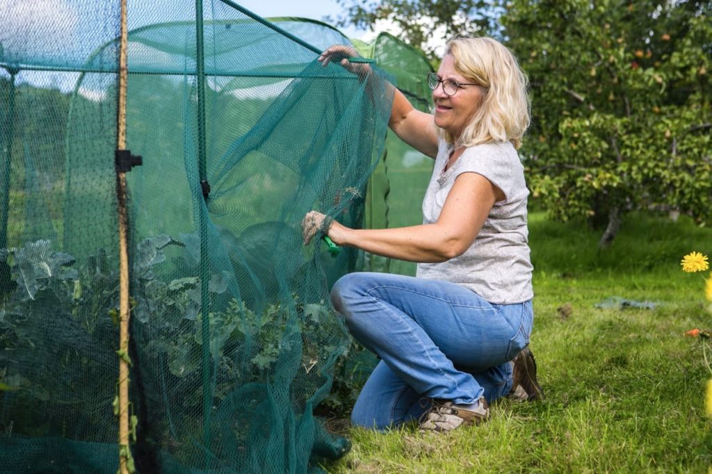 Janice Shipp tending to some netting in her allotment