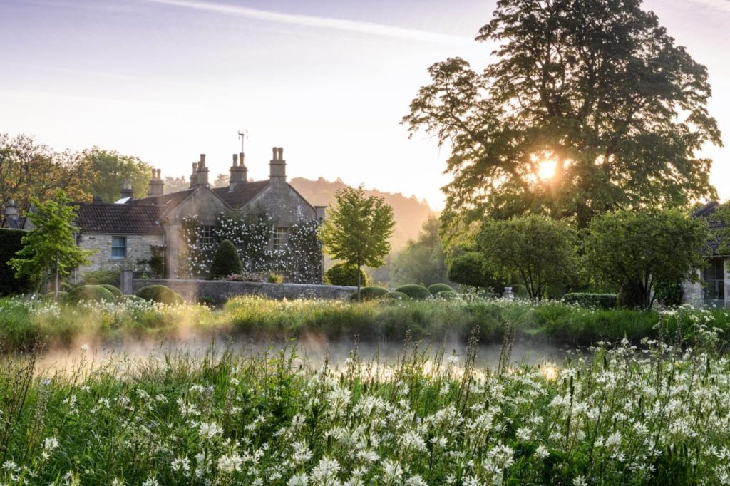 a large house with a garden full of flowering plants, with the sun glaring through a tall tree and highlighting the morning mist