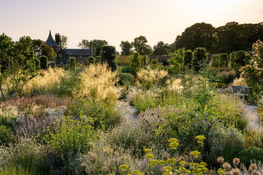Jason Ingram photograph with lots of shrubby foliage plants and pale flowers growing in a stunning courtyard landscape
