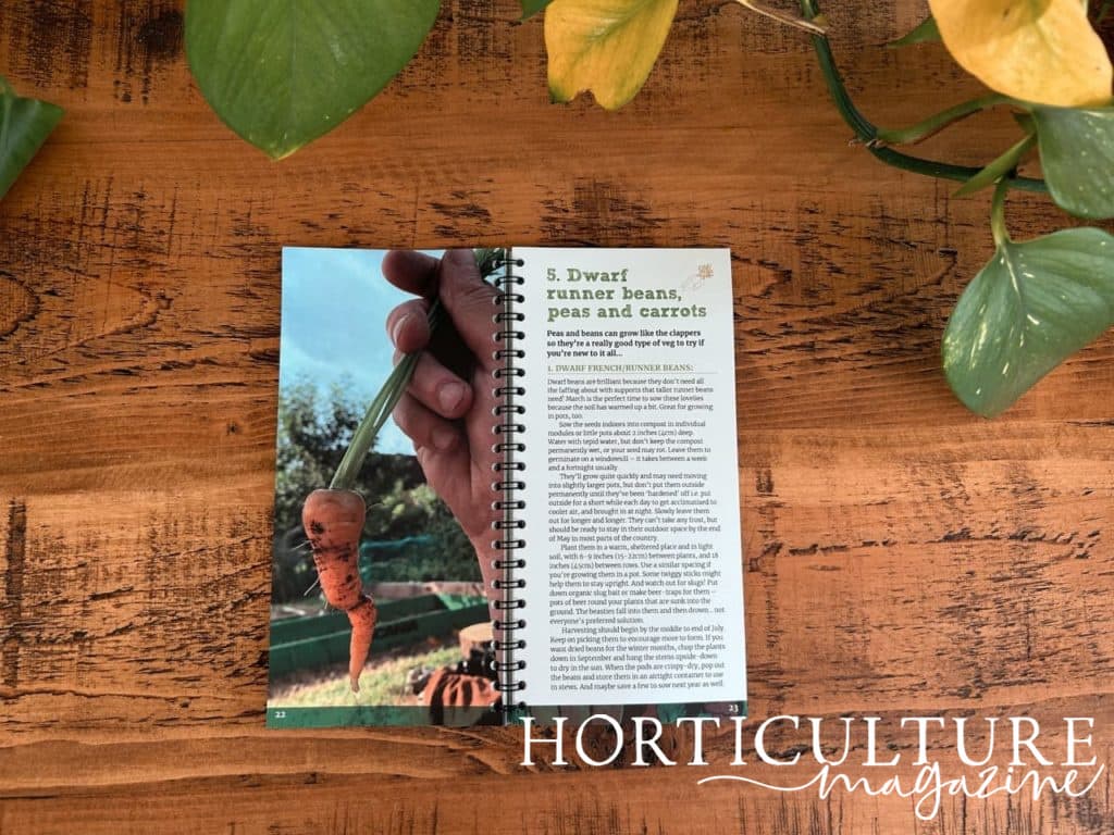 a photograph of a carrot alongside some text from an open spread of the 3 growbags' book