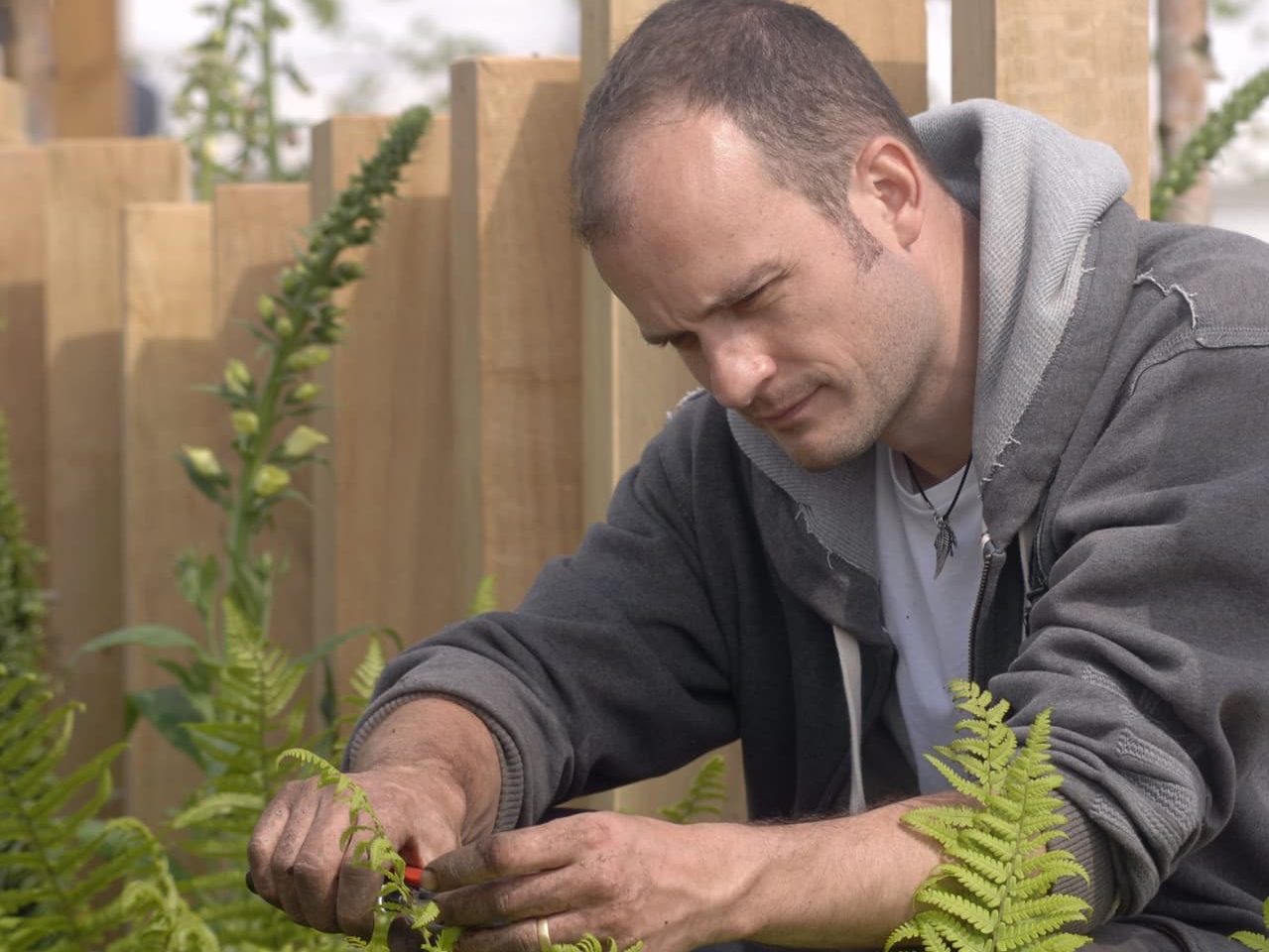 Matt Haddon pruning a fern plant growing in a garden