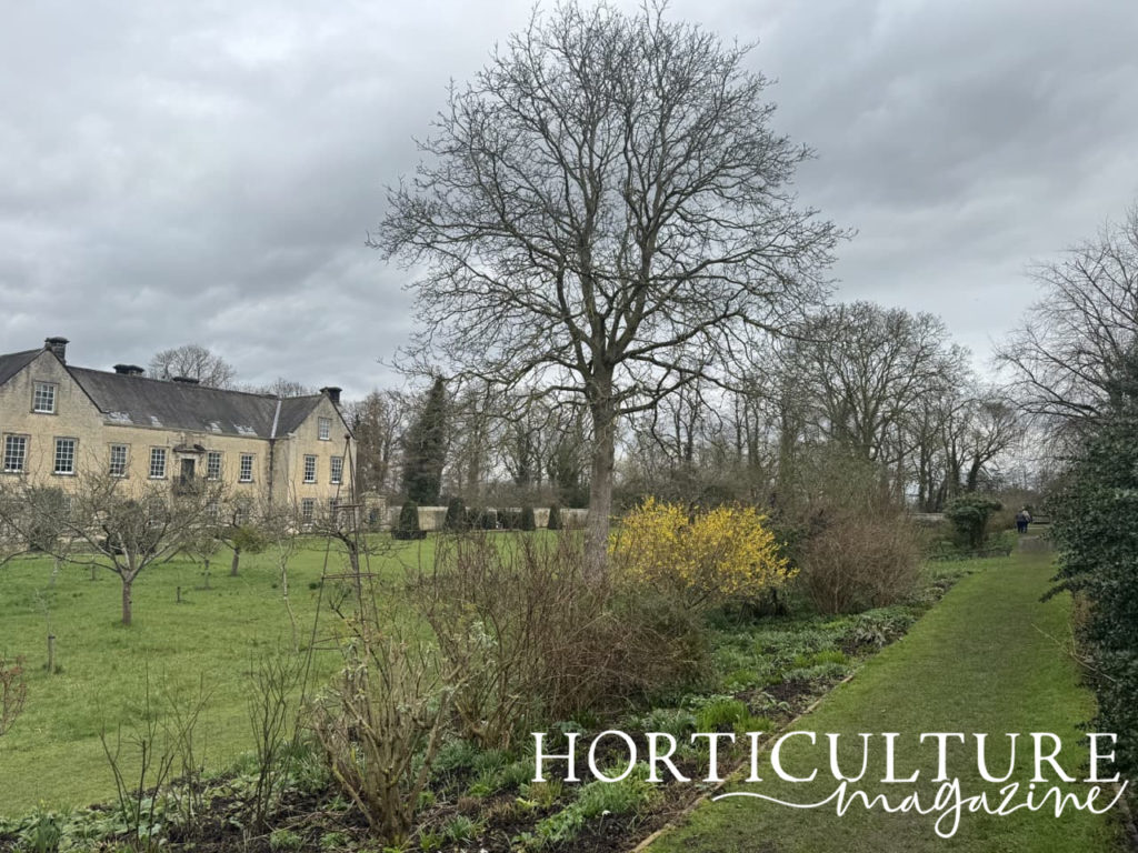 the orchard area in winter with the house at Nunnington in the background