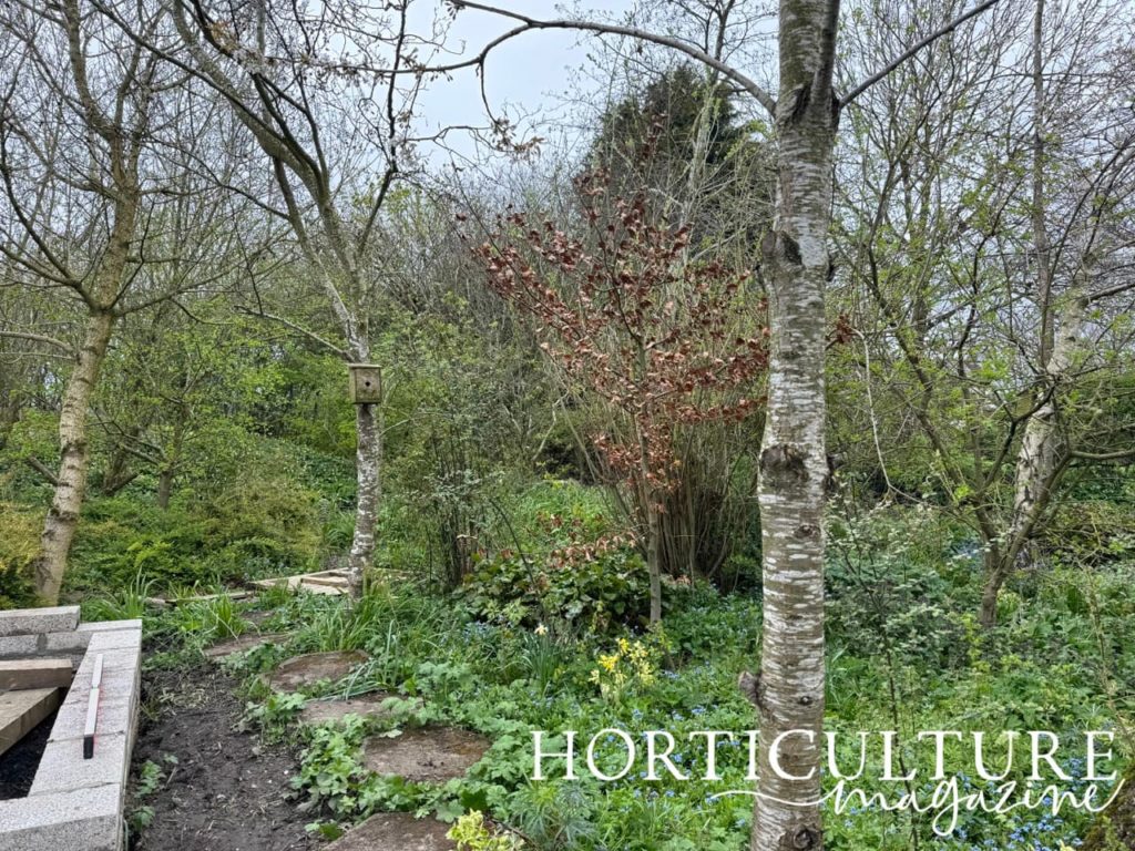 the Wendy border at The Stables, a private garden in Durham