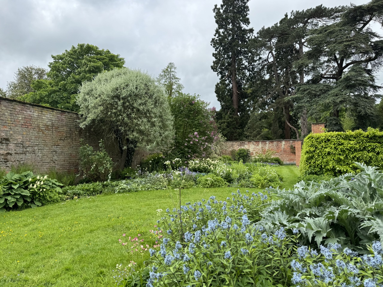 the walled gardens at Combermere Abbey with blue and white plantings in formal borders