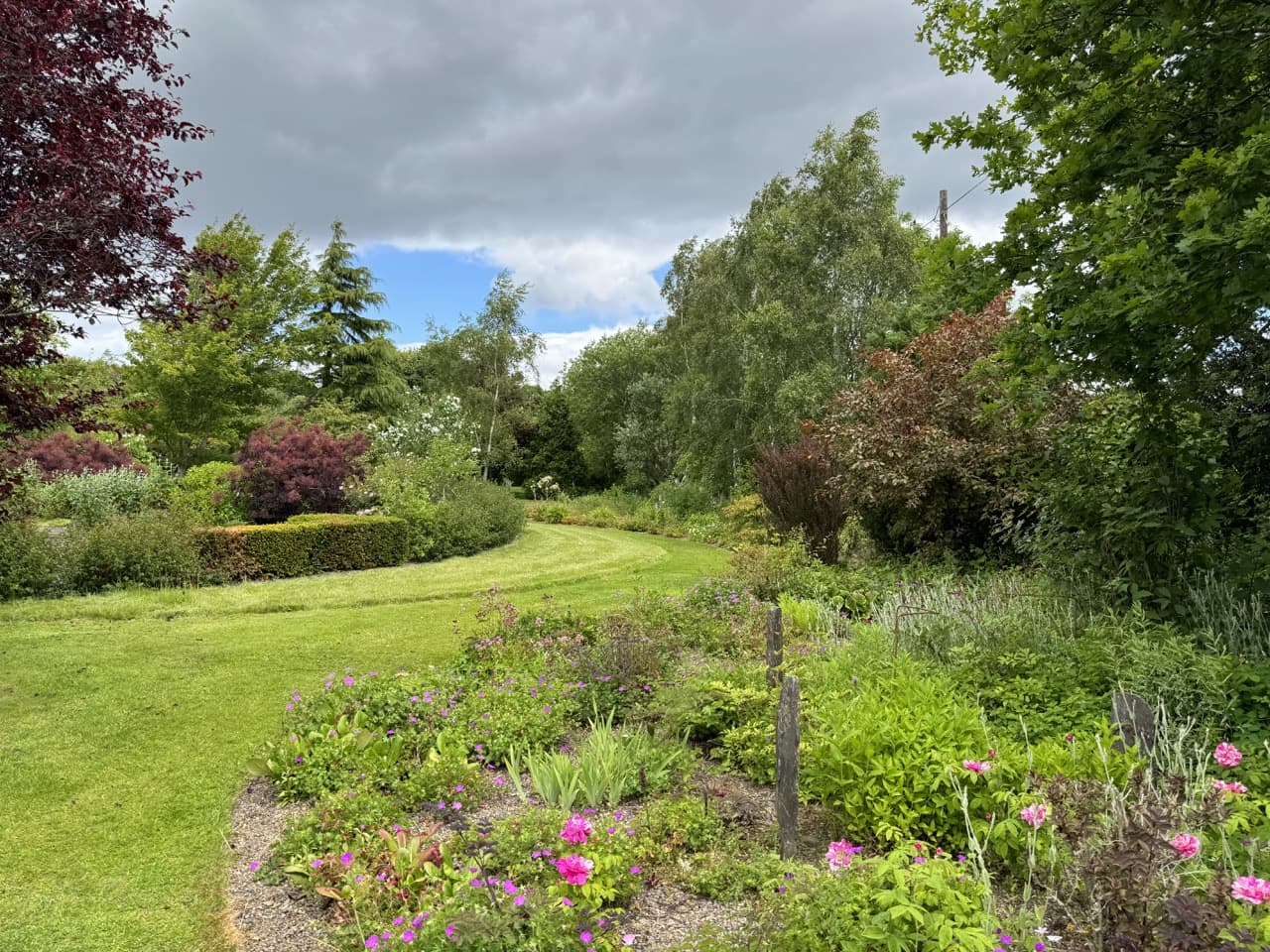 the borders at Birkhead’s Secret Garden full of colourful flowers and trees