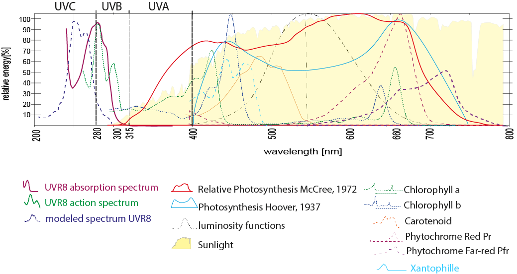 The Power of Ultraviolet Radiation (UV) A Guide to Growing Healthy