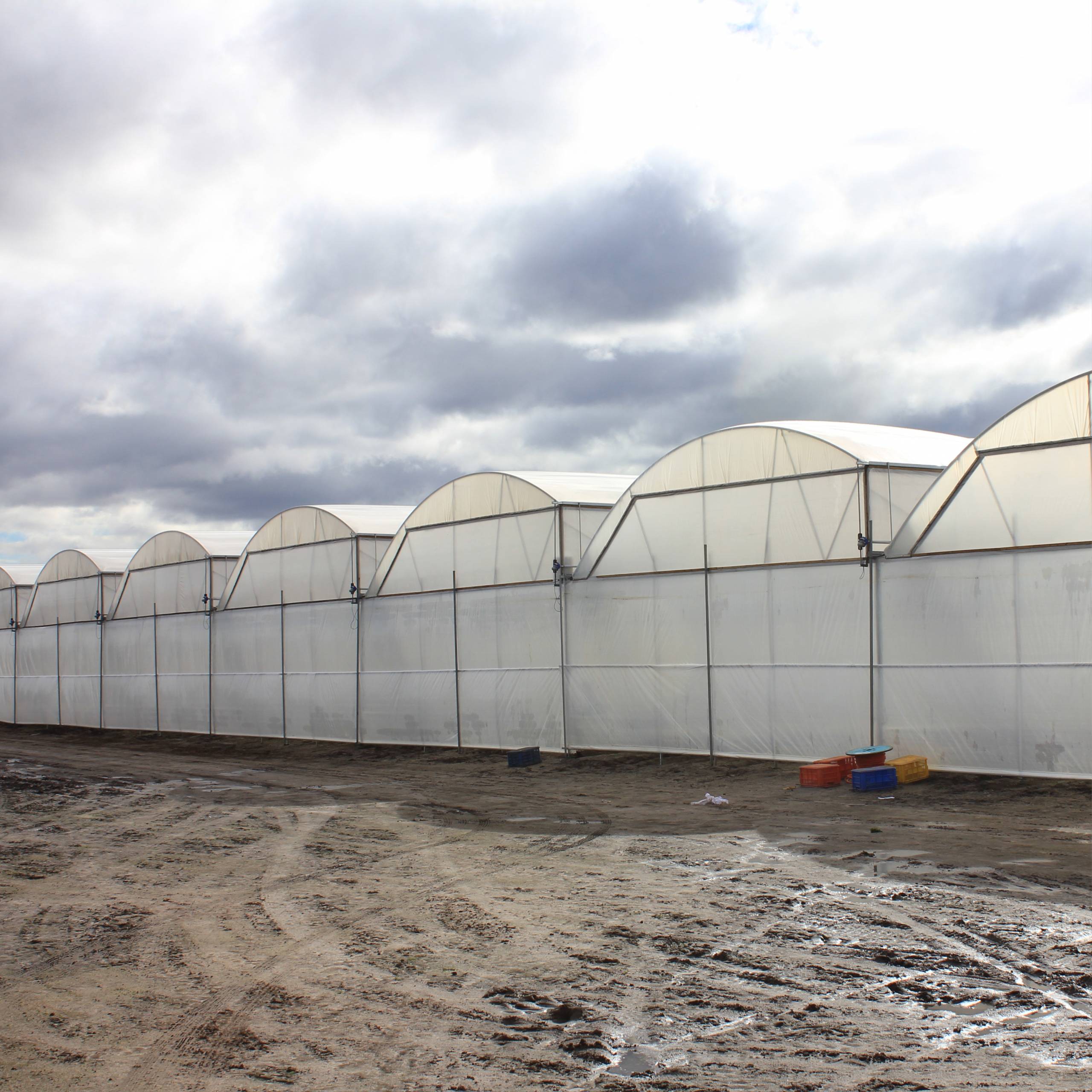 GREENHOUSES & ACCESSORIES Hortitech