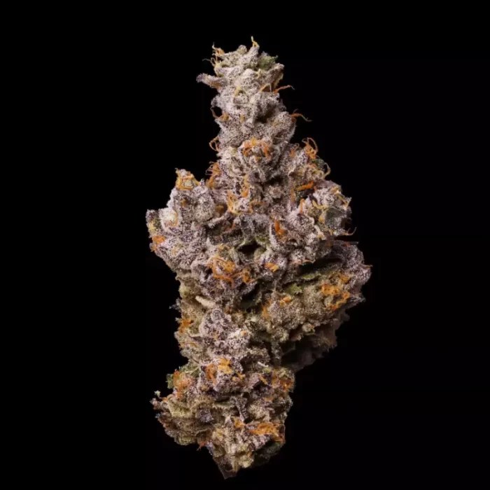 Permanent Marker (Seed Junky X Doja) Cannabis Clones