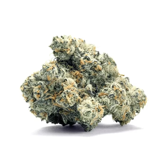 CAP Junky (Seed Junky) Cannabis Clones