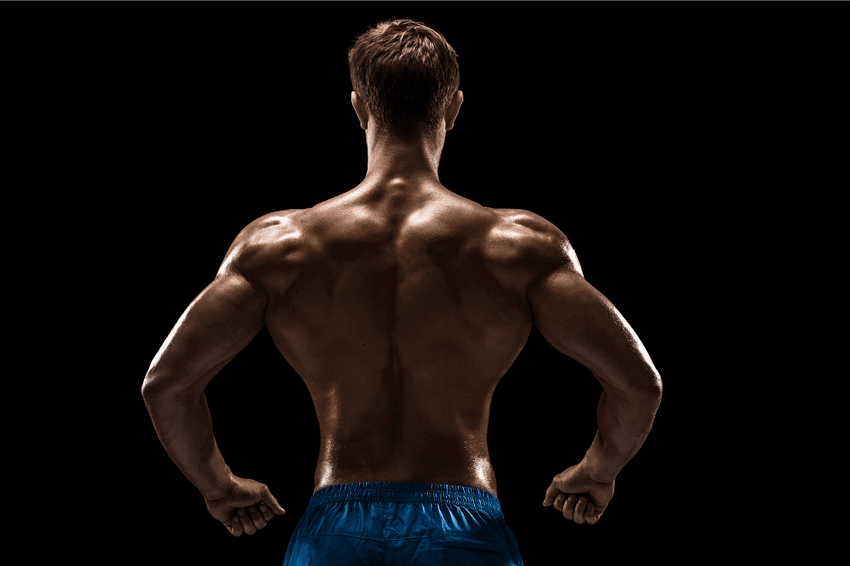 7 Cable Rear Delt Fly Alternatives For Strong Shoulders Horton Barbell