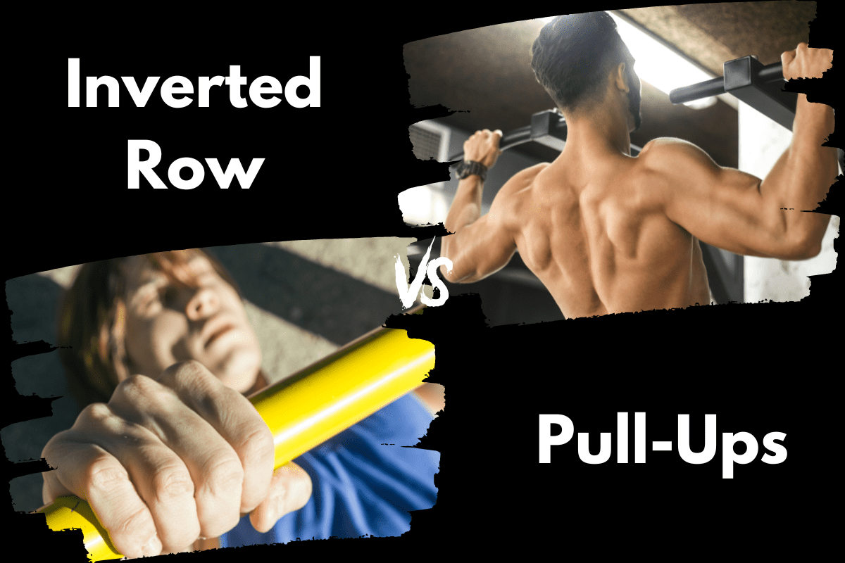 Inverted Rows vs Pullups (Which is Better?) Horton Barbell