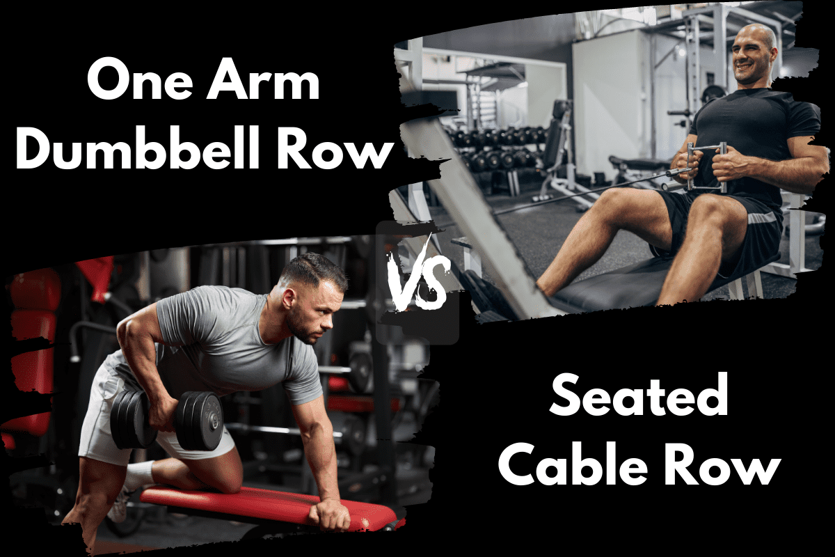 Dumbbell One Arm Row vs Seated Cable Row (Is One Better?) Horton Barbell