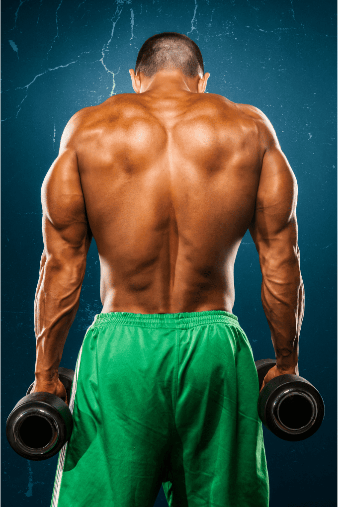 10 Best Upper Body Exercises for Wrestling (2023) Horton Barbell