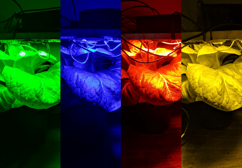 Horticultural Physiology Optimizing production practices for