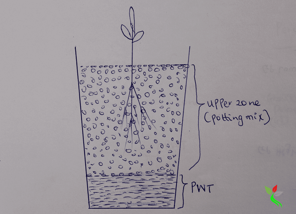 Container Gardening: How to Improve Drainage in Potted Plants - Hort Zone