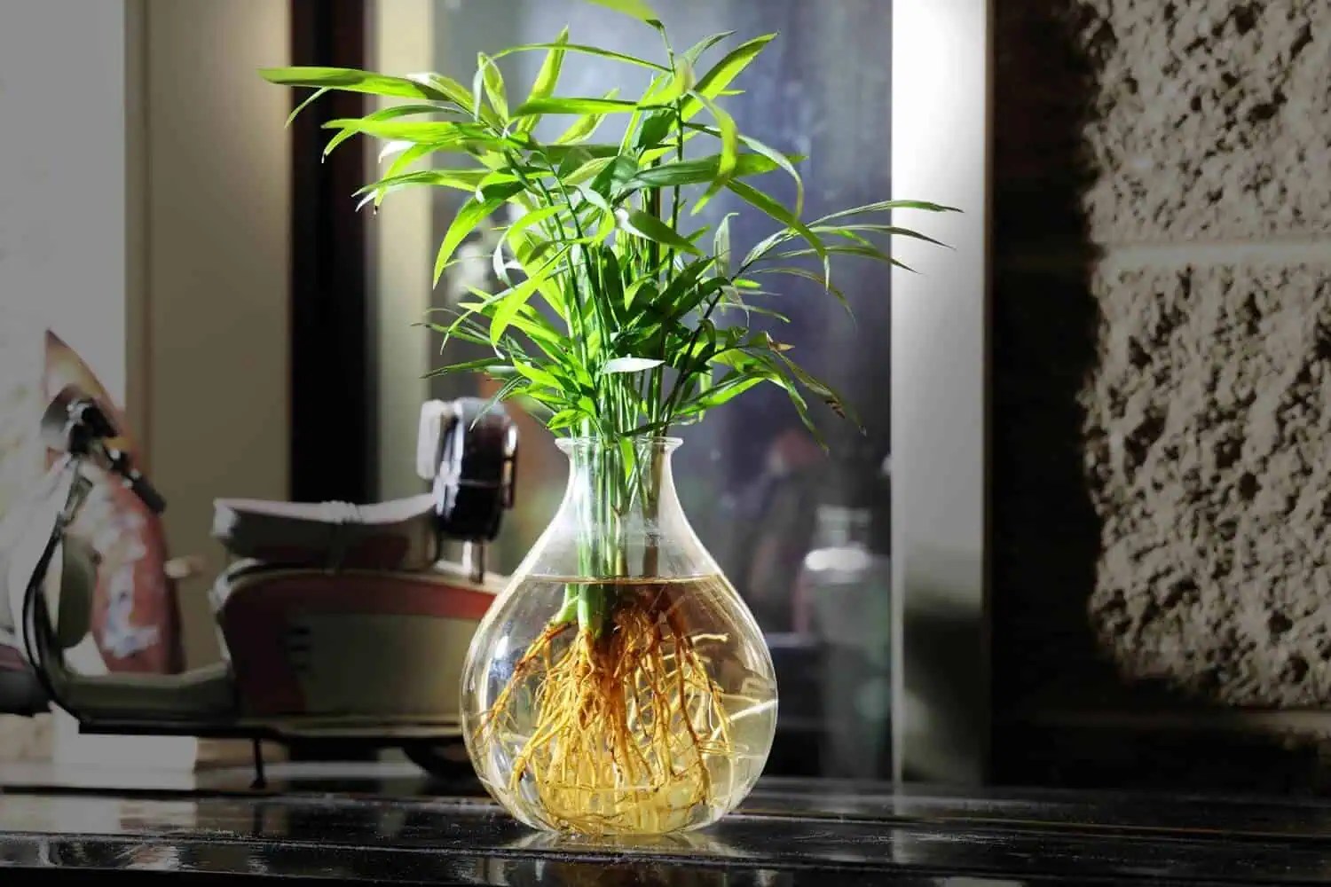 Plants that Grow in Water Featured Image