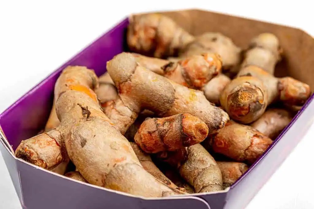 Harvesting Turmeric Rhizomes