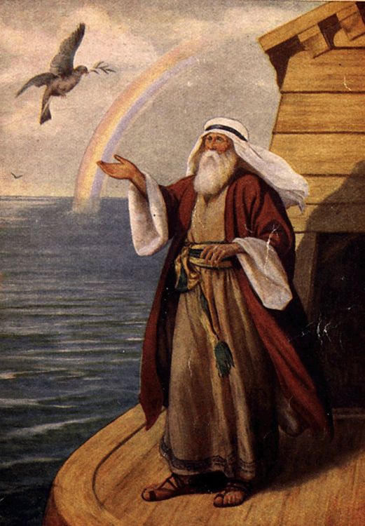 Noah and dove Hoshana Rabbah Blog