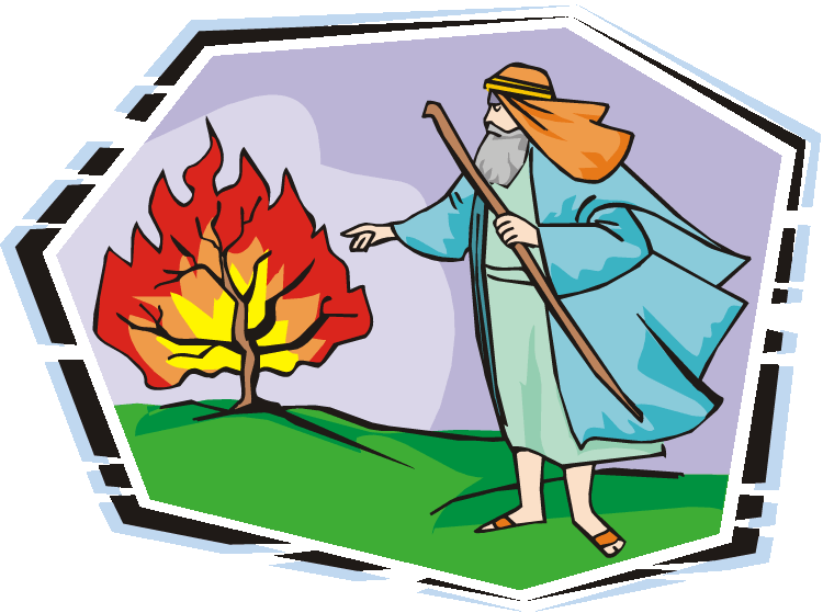 burning bush Hoshana Rabbah BlogHoshana Rabbah Blog