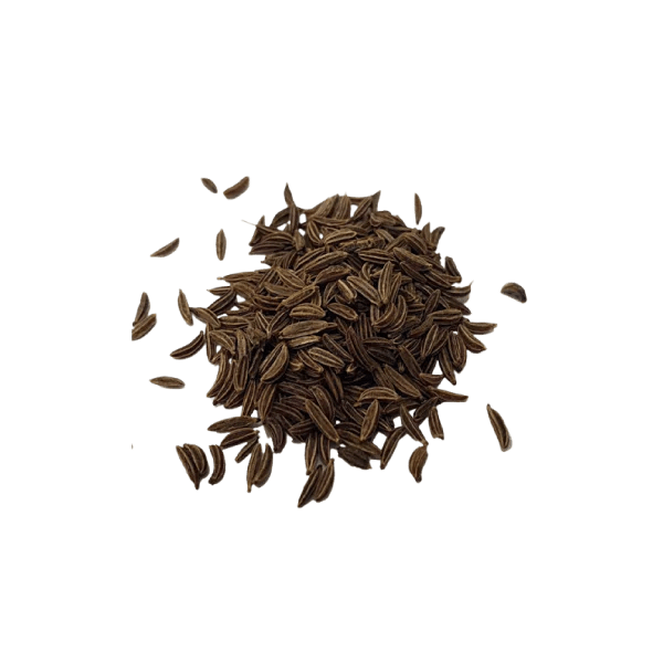 Caraway Seed hosnaexport