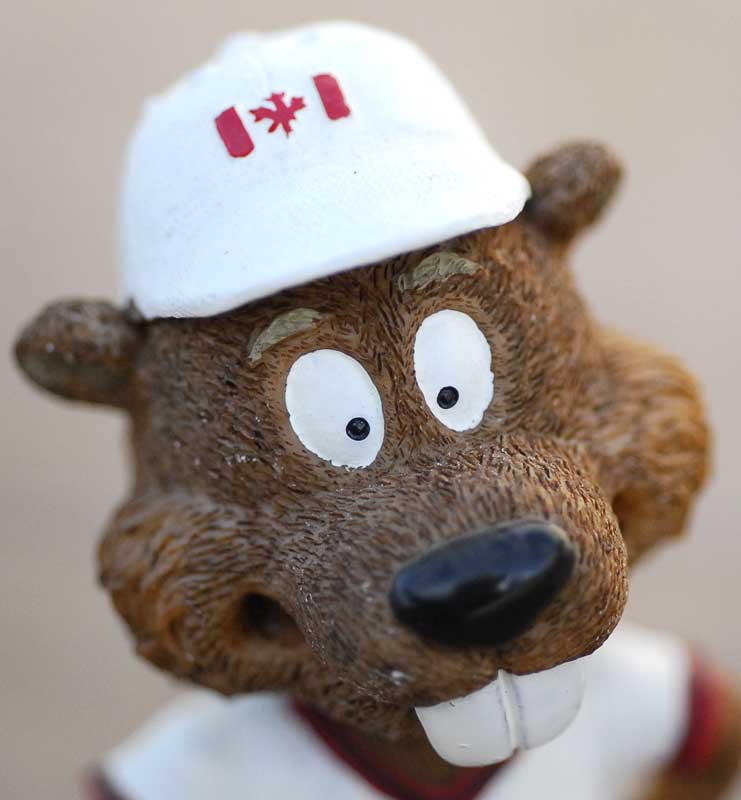 RARE Canadian Beaver Bobblehead Canuck Bobble head Nodder Canada Hockey