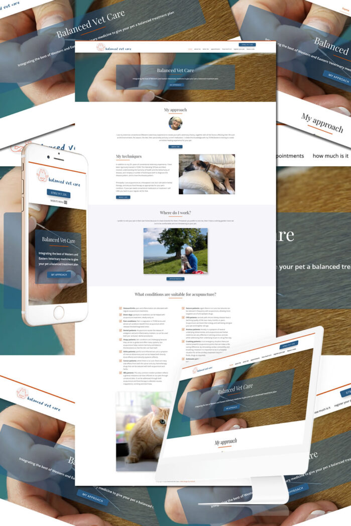 Balanced Vet Care Kent • Hostcat  Design