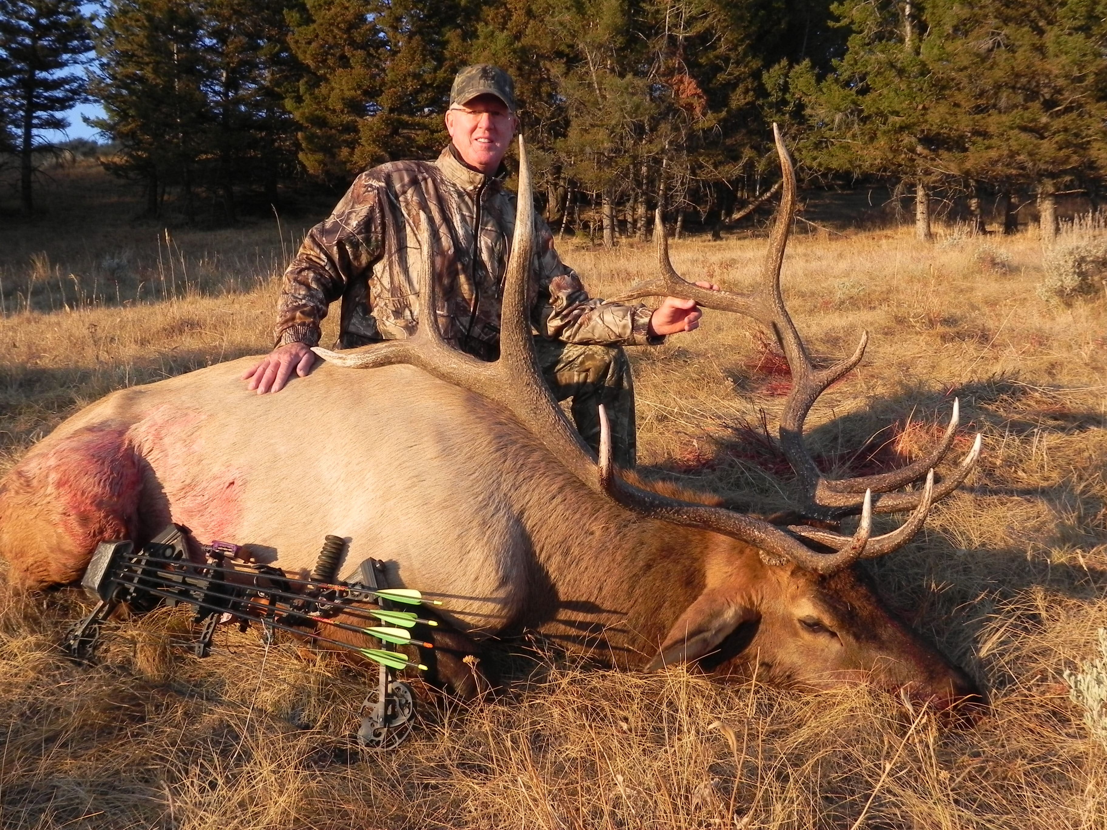 Montana Archery Elk Hunt 10453
