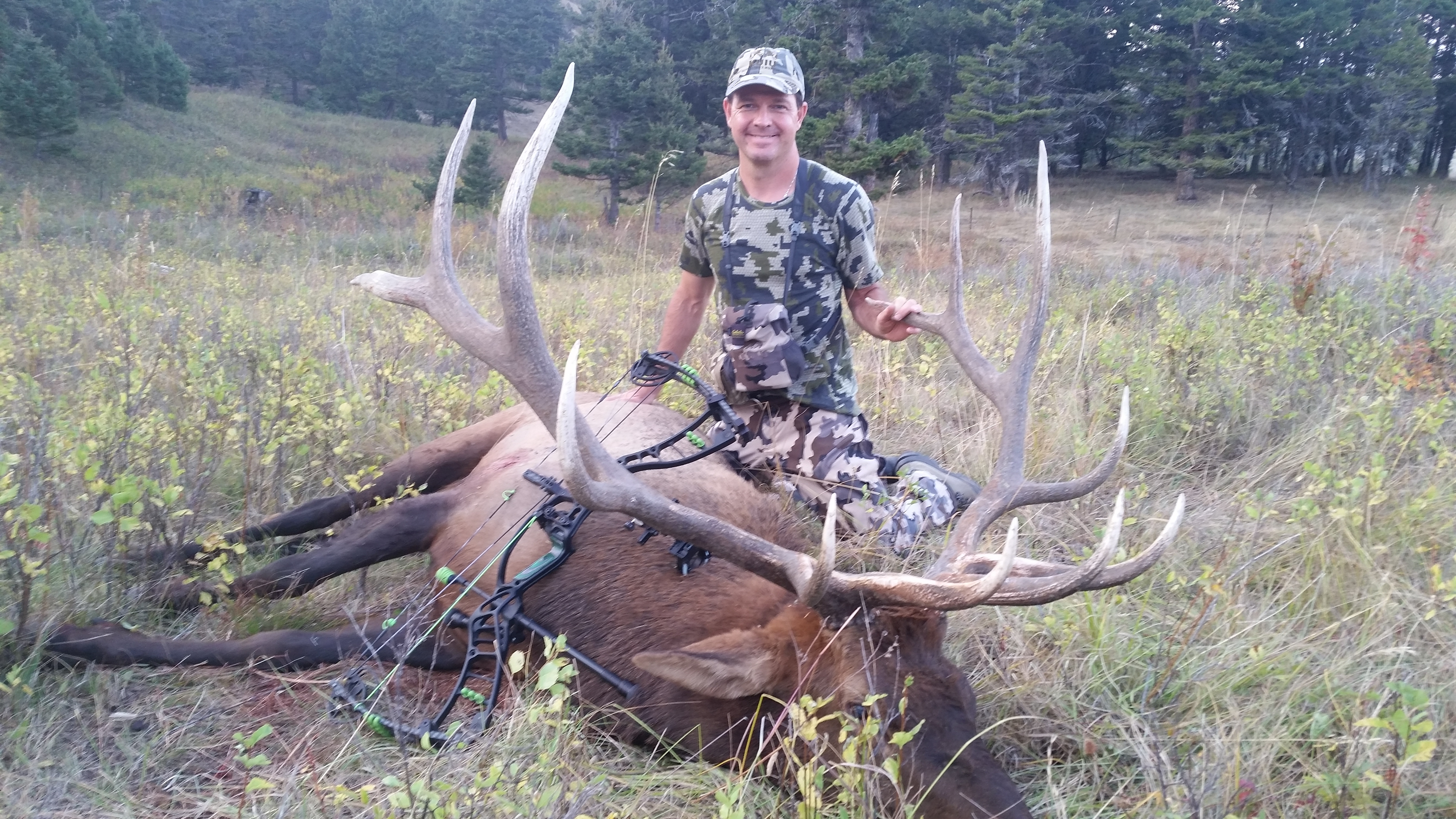 Montana Archery Elk Hunt 10453