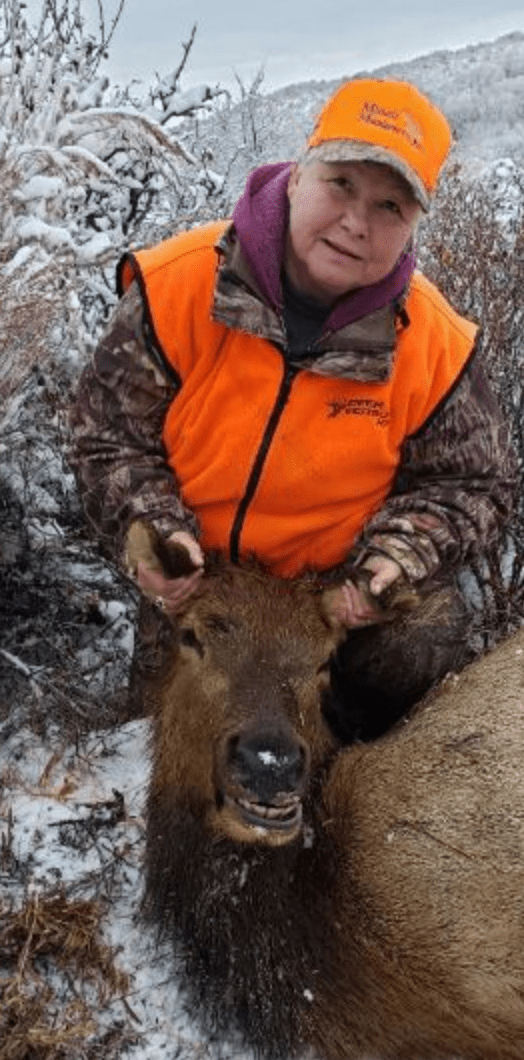 Colorado Cow Elk Hunt 10436