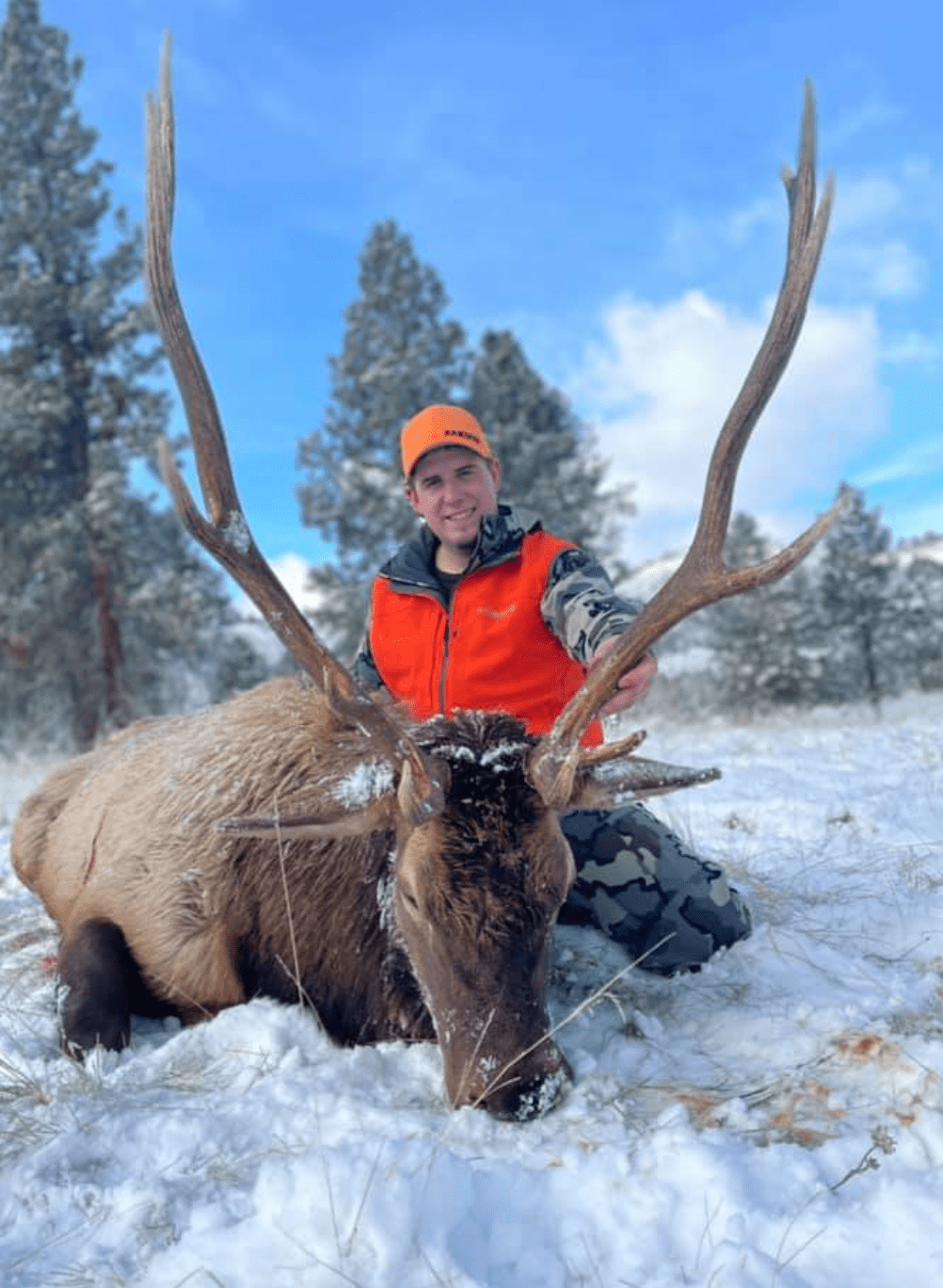 Montana Elk and Deer Hunt 10731