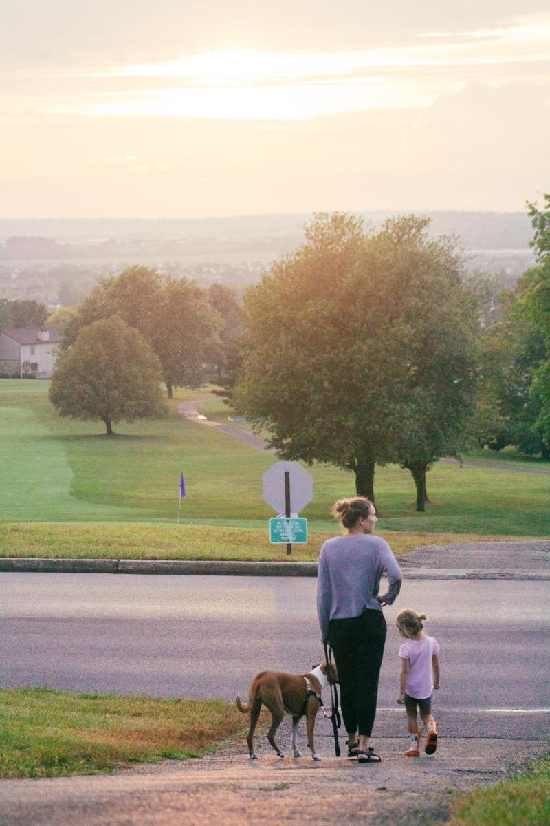 Gardening in Ohio What to Plant in Spring & Fall