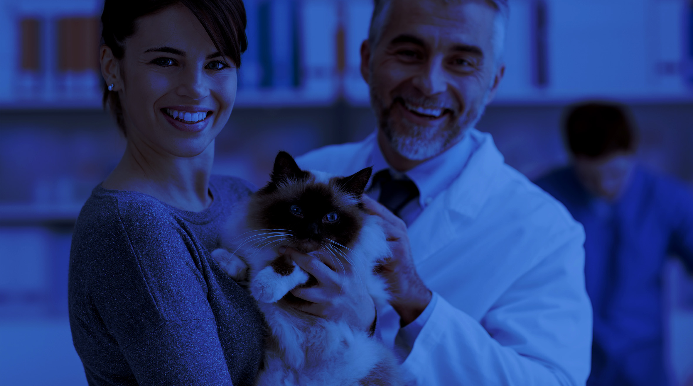 Patterson Veterinary