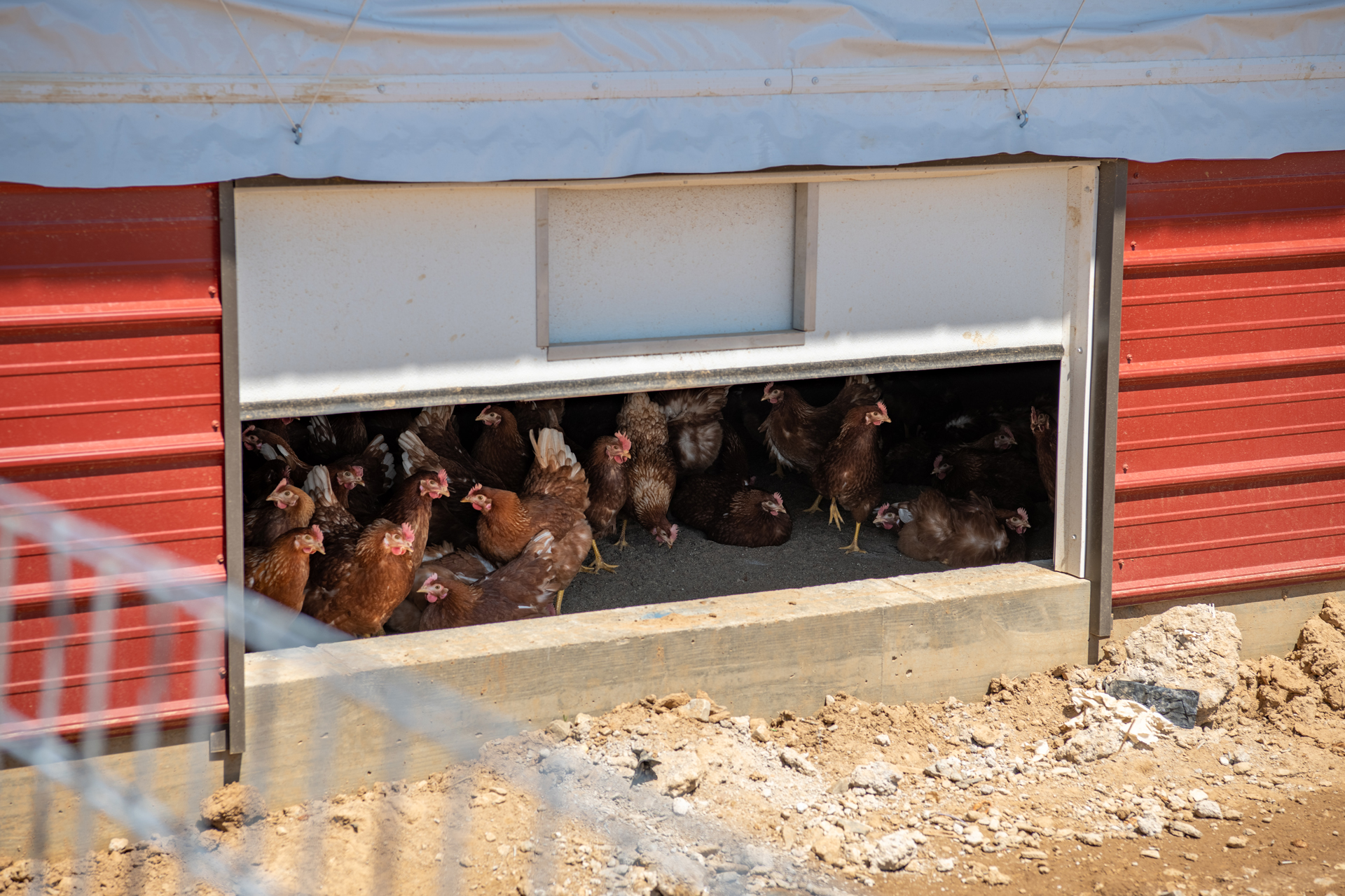 Kendall’s Poultry Barn Hostetler Buildings
