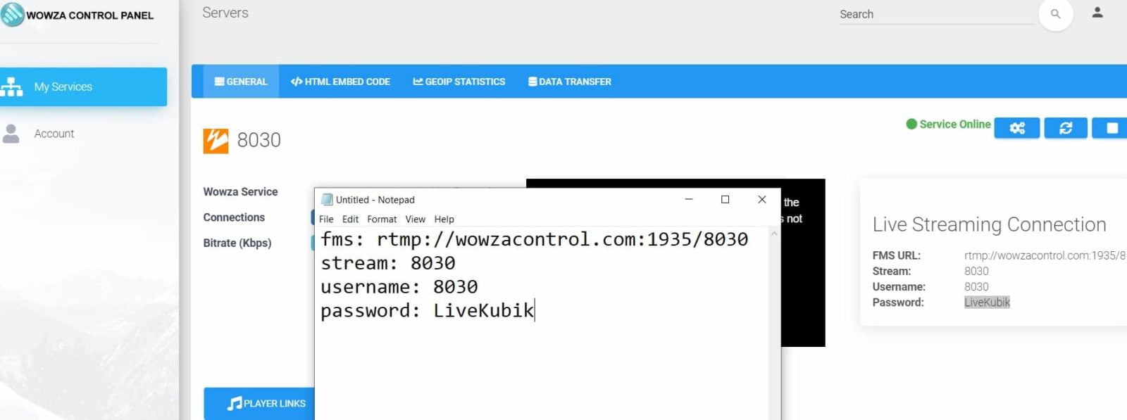 Live Streaming RTMP Server Hosting
