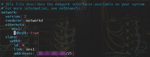Setting additional static IP address to interface with DHCP