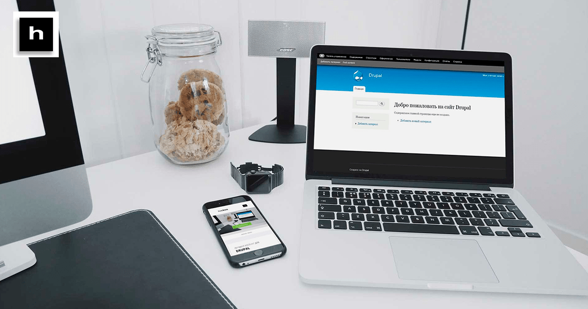 Best Drupal Hosting for Businesses of All Sizes