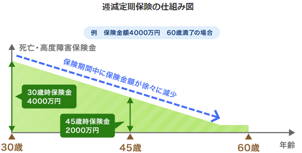 定期保険とは？定期保険の詳細をわかりやすく解説 社会保障 と 民間保険