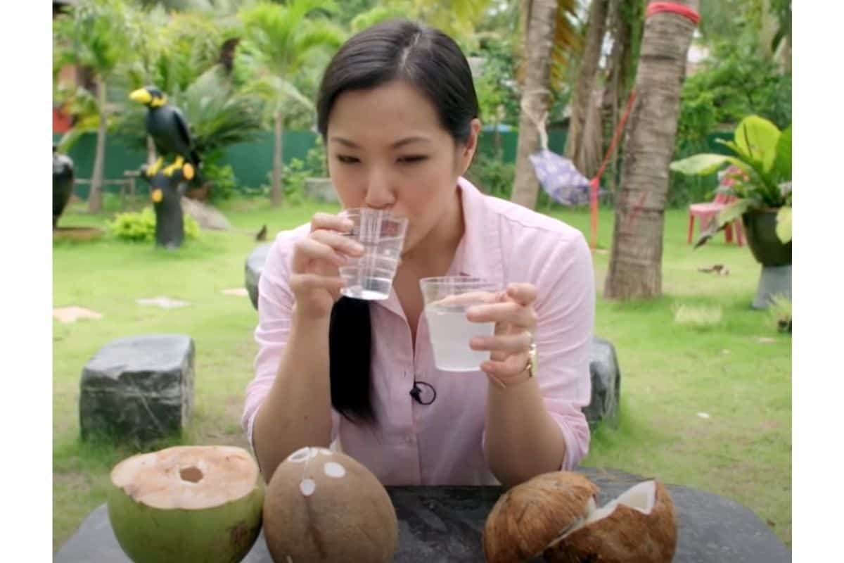 Young Thai Coconut Water Nutrition Facts Besto Blog