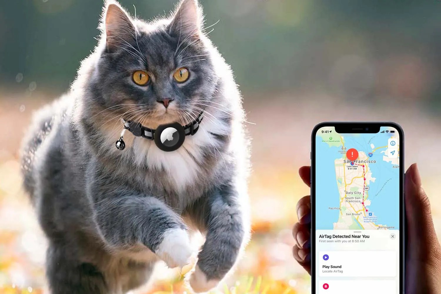 NoSubscription Cat GPS Trackers The Ultimate Guide