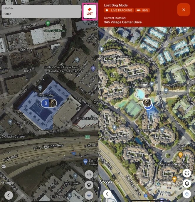 Fi vs Whistle Which GPS Dog Collar is Best in 2024?